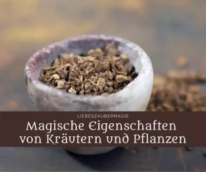 Magische Eigenschaften von Kräutern, Pflanzen und Bäumen