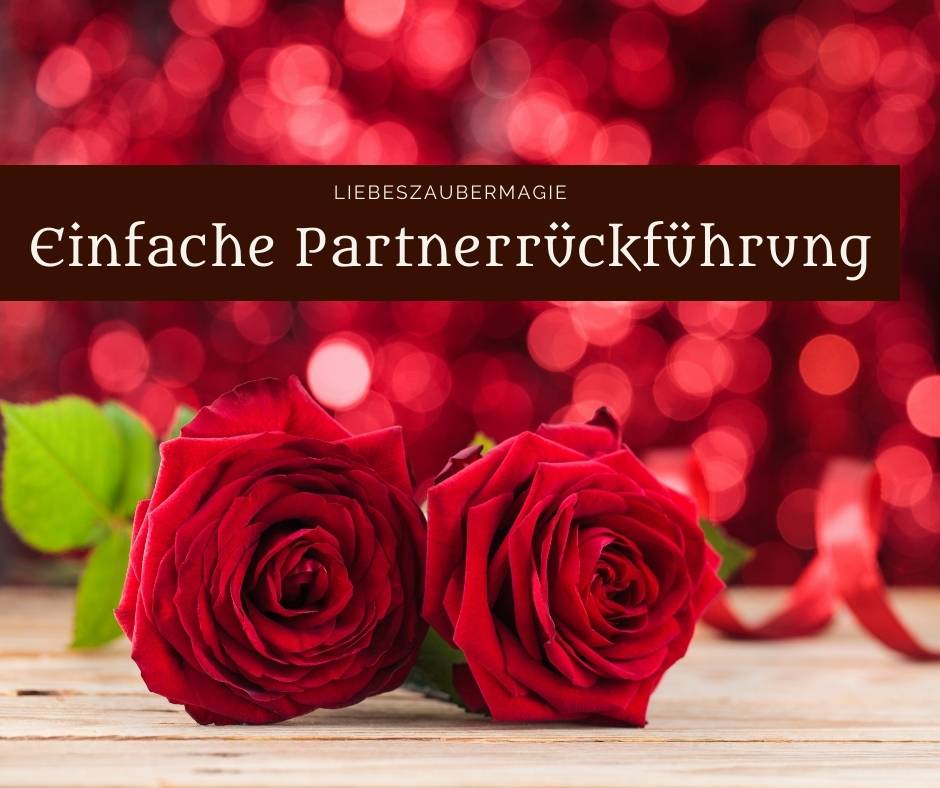 Einfache Partnerrückführung