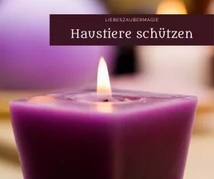 Schutzzauber für Haustiere